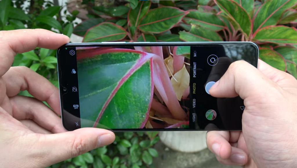 Realme Note 50 fotografando plantas